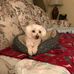 Sarah Pease - Facebook