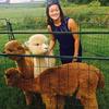 Sarah Pease - @peeease - TikTok