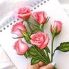 sarahpease83 - @sarahpease83 - TikTok