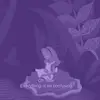 NotSarahAgain - @sarah.speed - TikTok