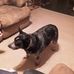Sarah Pendergrass - Facebook