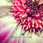 LivingPureEOs-Sarah Penner - @livingpureeos - Instagram
