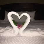 Sarah Penner - @sarahpenner1335 - Instagram