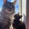 Sarah Penner - @sarahpenner4 - TikTok