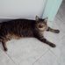 Sara Perugini - Facebook