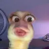 sarah perini - @sarah.perini1 - TikTok