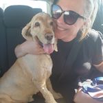 Sarah Perman - @sarahperman - Instagram