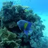 Sarah Perret-Frutiger - @sarah.perretfruti - TikTok