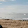 Sarah.perret2 - @sarah.perret2 - TikTok