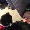 sarah perrie - @sarah.perrie14 - TikTok