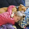 Sarah Petree Canter - @sarah.petree.cant - TikTok