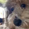 sarah - @_sarahpeyton - TikTok