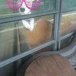 sarah phifer - @phifer.sarah - Instagram