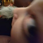Sarah Phippen - @sarah_phip37 - Instagram