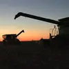 Sarah Ping - @sarah.ping5 - TikTok