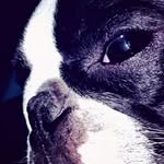sarah ping - @indigofairy06 - Instagram