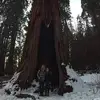 Sarah Pingel - @sarahpingel3 - TikTok