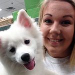 Sarah Pippin - @ui_sarahpippin - Instagram