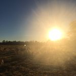 Sarah Pippin - @the_word_is_the_truth - Instagram