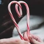 Sarah Pippins - @sarahpippinsphotograghy - Instagram