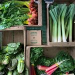 Sarah Cuneo - @sarahplatesplants - Instagram