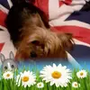 Sarah Plunkett298 - @skp441978 - TikTok