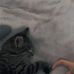 Sarah Poll - Facebook