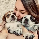 Sarah Poss - @sareposs - Instagram
