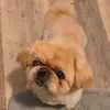 Sarah Poulos - @sarah.poulos2 - TikTok