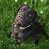 Sarah Preiss - @sarah.preiss6 - TikTok