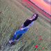 Sarah Preuß - Facebook