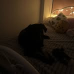 Sarah Prevost - Facebook