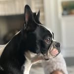 Sarah Prevost - @sarah_e_prevost - Instagram