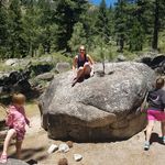 Sarah Proffitt Johnson - @sarahproffittjohnson - Instagram