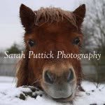 Sarah Puttick - @sarahputtickphotography - Instagram