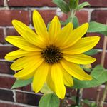 Sarah qualey - @qualeysarah - Instagram