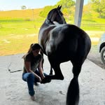 Sarah Quintes | Médica Veterinária - @mvsarahquintes - Instagram