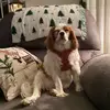 sarah - @sarah.radcliffe - TikTok