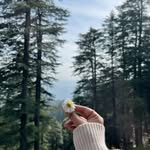Sarah_Raja - @exotic.saroo_ - Instagram