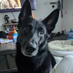 Sarah Ramer - @mrsramer - Instagram