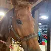 Sara Ramsdell945 - @smrams8 - TikTok