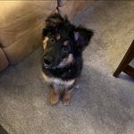 Sarah Bassett Ramsdell - @sarah.ramsdell75 - Instagram