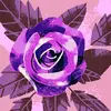 sarahransom66 - @sarahransom66 - TikTok