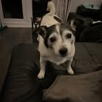Sarah Rapp - Facebook