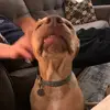 Say - @sarah.rapp78 - TikTok