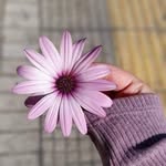 Sarah Abu Raslan - @sarahaburaslan - Instagram