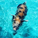 Sarah Ratcliffe - @sarah.242.ratcliffe - Instagram