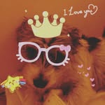 sarah rauber neusser - @sarah_neusser - Instagram