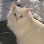 Sarah Raymer - @sfr1979 - Instagram