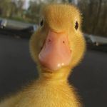 Sarah Raymer - @washablemarkers66 - Instagram